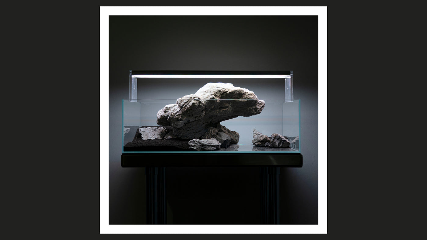 Scape your mental health with Anthony Bui