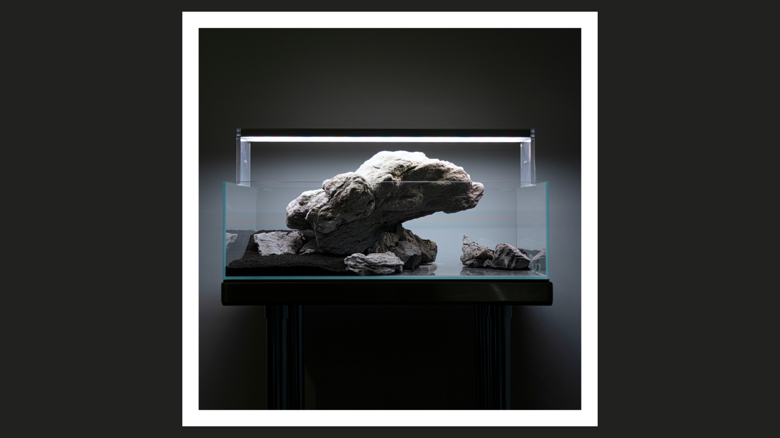 Scape your mental health with Anthony Bui