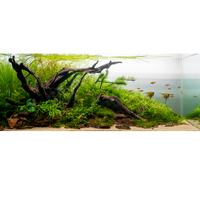 planted tank