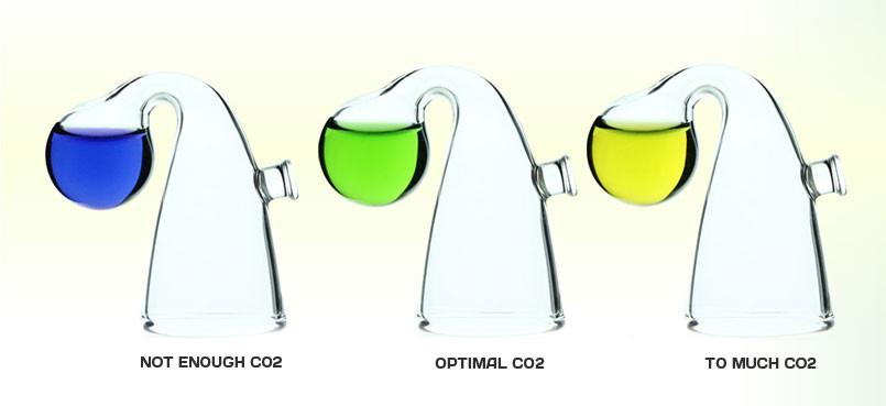 Cómo CO2 Función de difusores en peceras - CO2Art.eu