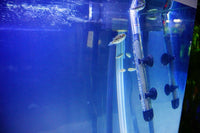 Como reduzir a temperatura da água em um aquário